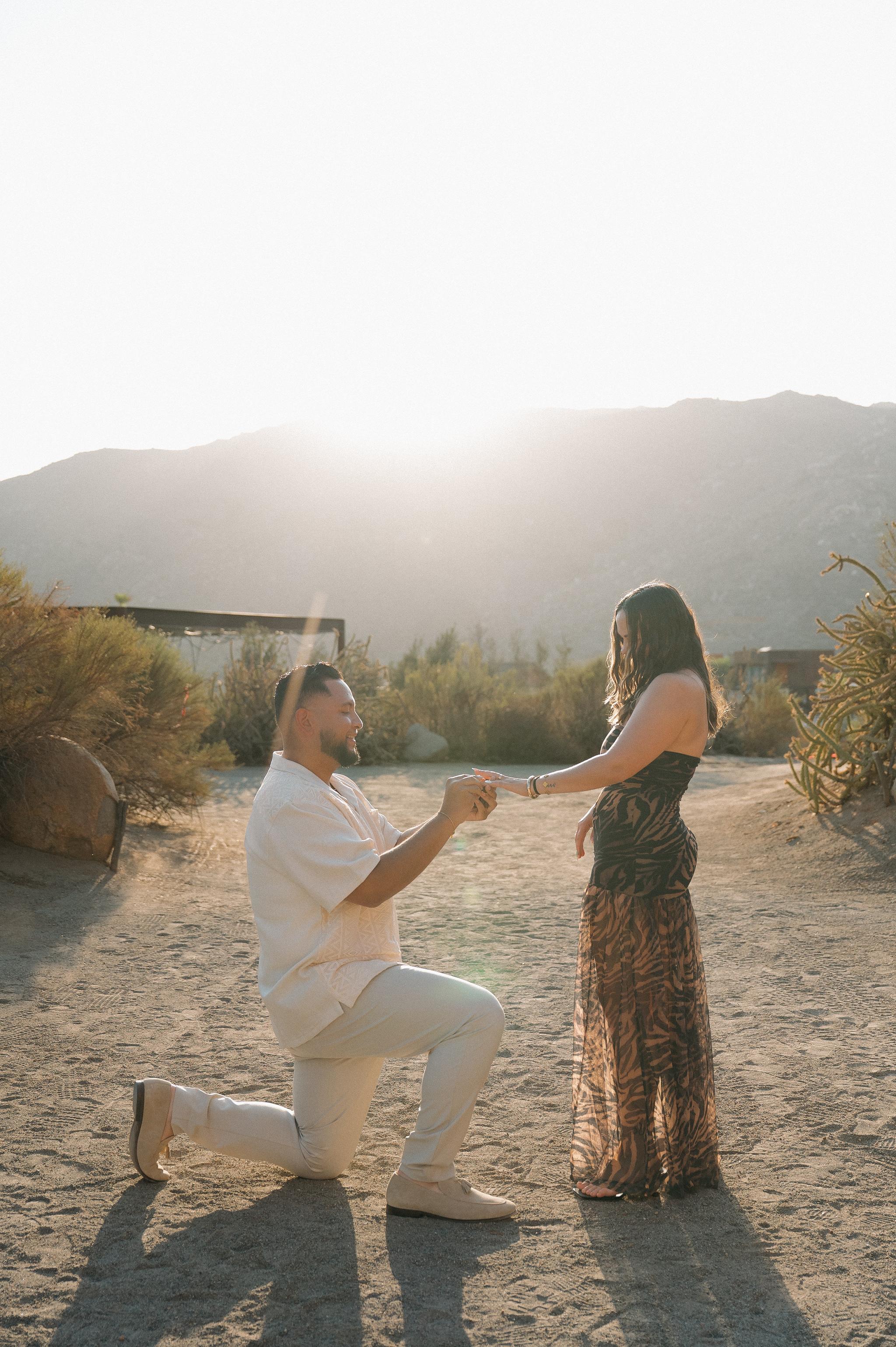Proposal Photography in Valle de Guadalupe: Anthony & His Perfect Yes at Bruma