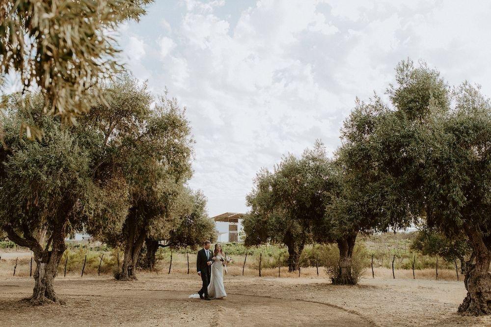 carousel-hero-element image-9